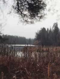 未霜先寒青雲畔，暖居藏韻禦冬涼