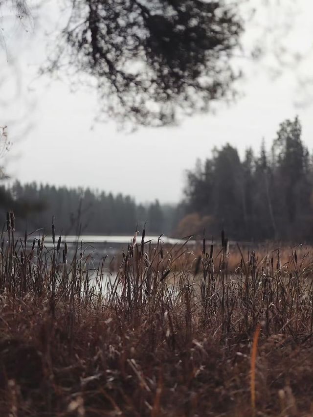 未霜先寒青雲畔，暖居藏韻禦冬涼