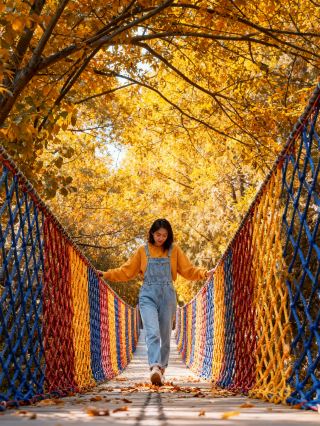 徐州馬陵山｜這條秋日秘境，我真不想讓它太火   一腳踏入山門的梧桐大道，整個人都安靜了。焦糖色的落