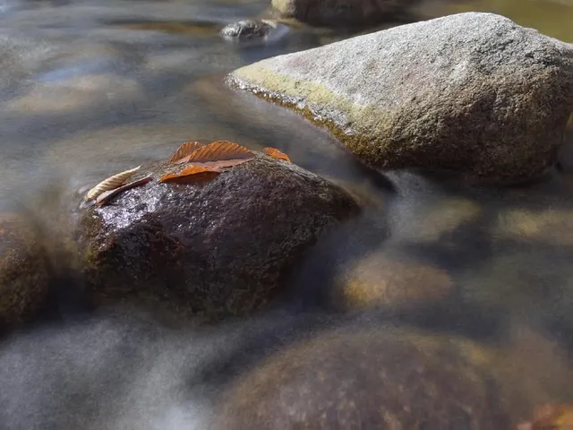 2025年11月16日廣元唐家河