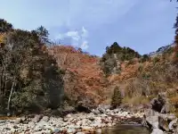 2025年11月16日廣元唐家河