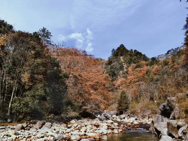 2025年11月16日廣元唐家河