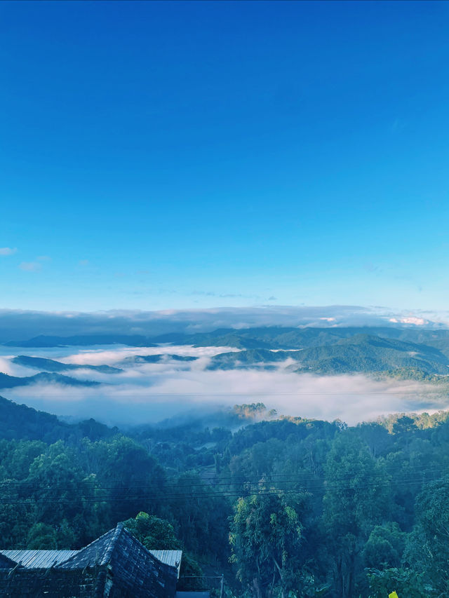景邁山雲海記 景邁山雲海記