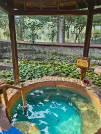 宜春本地人告訴你宜春週末去哪兒玩