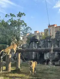 謝謝上野送的生日禮物~今天的快樂是免費哒