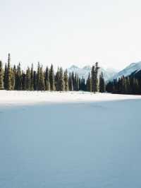 伊犁|冬天的避寒之地