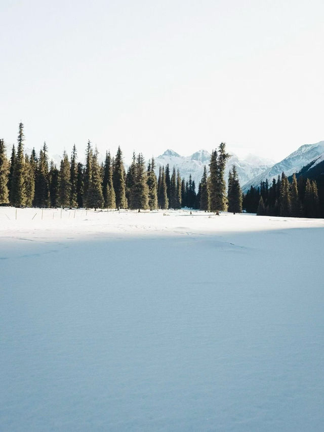 伊犁|冬天的避寒之地 伊犁|冬天的避寒之地
