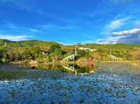 絕絕子的寶藏酒店推薦