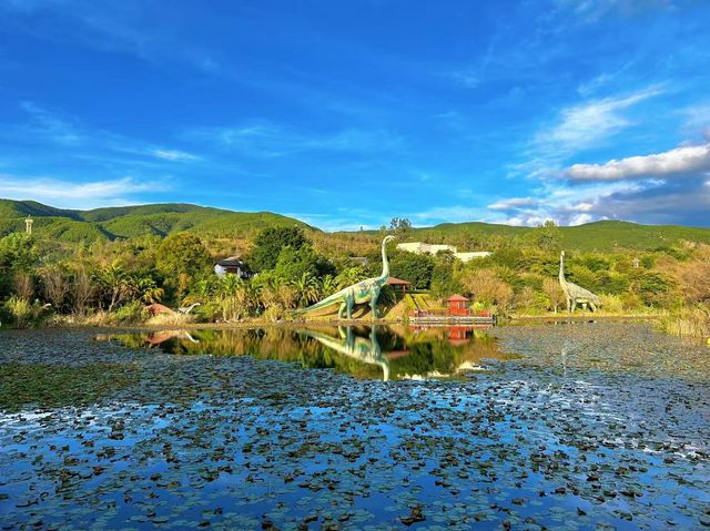 絕絕子的寶藏酒店推薦