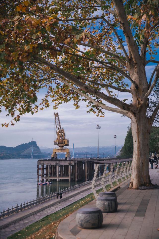 宜昌濱江:在長江岸線,邂逅老工業與深秋的詩意共鳴 宜昌濱江:在長江岸線,邂逅老工業與深秋的詩意共鳴