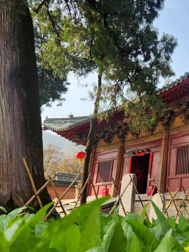 我宣佈,這是我河南最中意的小木頭房子 我宣佈,這是我河南最中意的小木頭房子