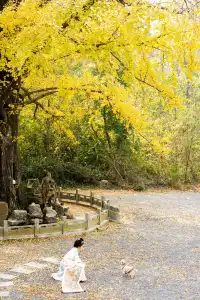 “我言秋日勝春朝”