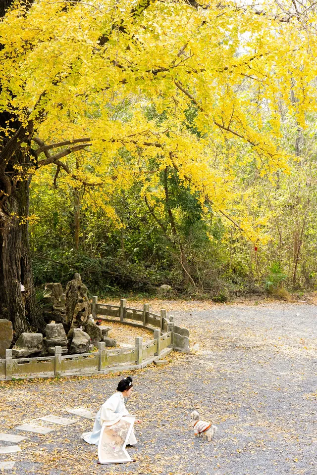 “我言秋日勝春朝”