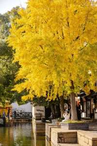 西塘古鎮限時免票活動