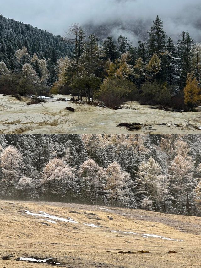 黃龍絕美雪景大公開!誰說黃龍不如九寨的? 黃龍絕美雪景大公開!誰說黃龍不如九寨的?