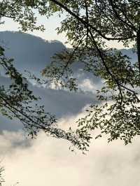 秋冬武夷!人少景美還暖胃