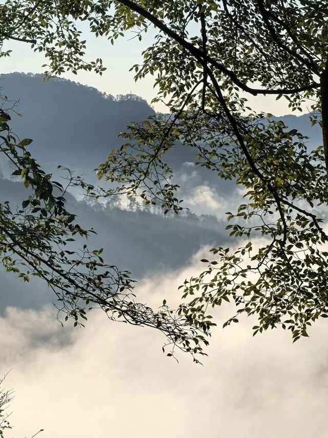 秋冬武夷!人少景美還暖胃 秋冬武夷!人少景美還暖胃