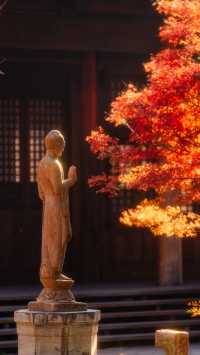 全屏封神 | 理想的秋天,就該這樣熱烈