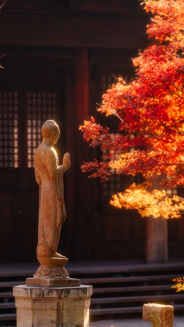 全屏封神 | 理想的秋天,就該這樣熱烈 全屏封神 | 理想的秋天,就該這樣熱烈