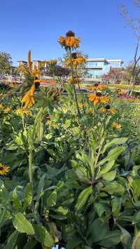 梅子湖花箋｜冬日限定的溫柔詩篇