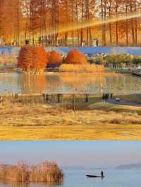 東錢湖超全遊玩攻略