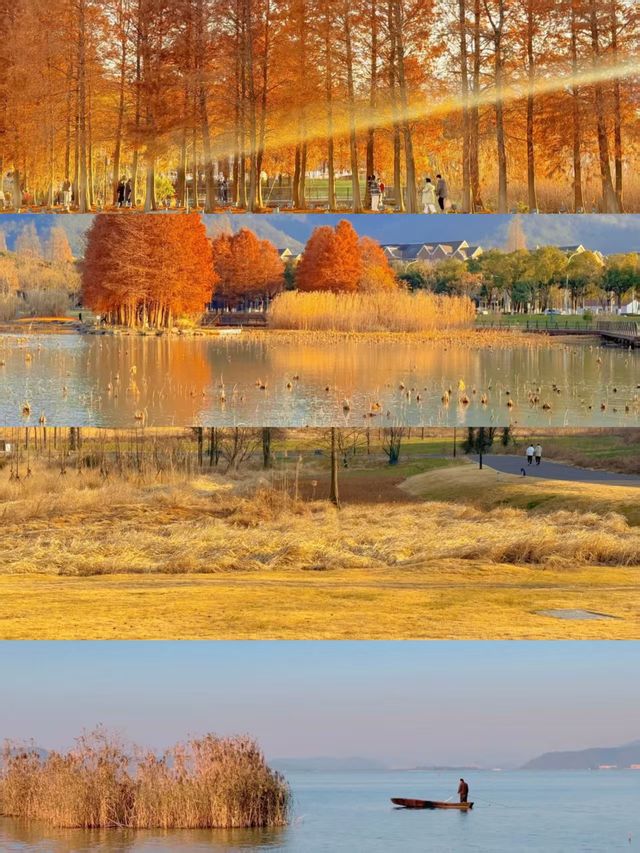 東錢湖超全遊玩攻略