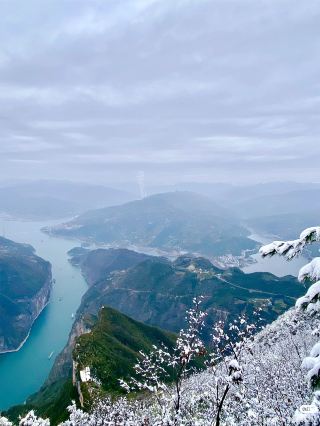 華夏遊輪冬航優惠來了，第二人半價