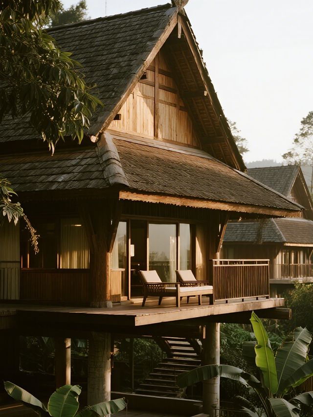 12月西雙版納|南糯山匠廬親子遊攻略 12月西雙版納|南糯山匠廬親子遊攻略