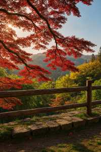 美到窒息！我在莫干山撿到了整座秋天