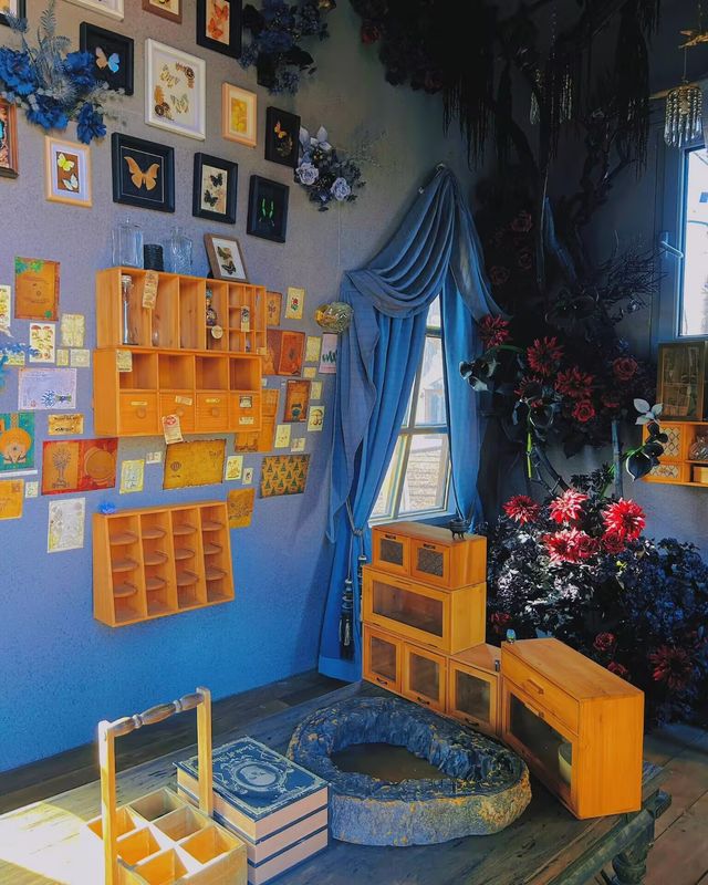 北京遛娃丨森林中的童話世界,地鐵直達!! 北京遛娃丨森林中的童話世界,地鐵直達!!