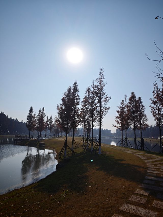 太湖綠地公園 太湖綠地公園