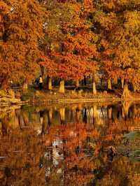 在禪意空間收藏蒙山濃烈的秋天