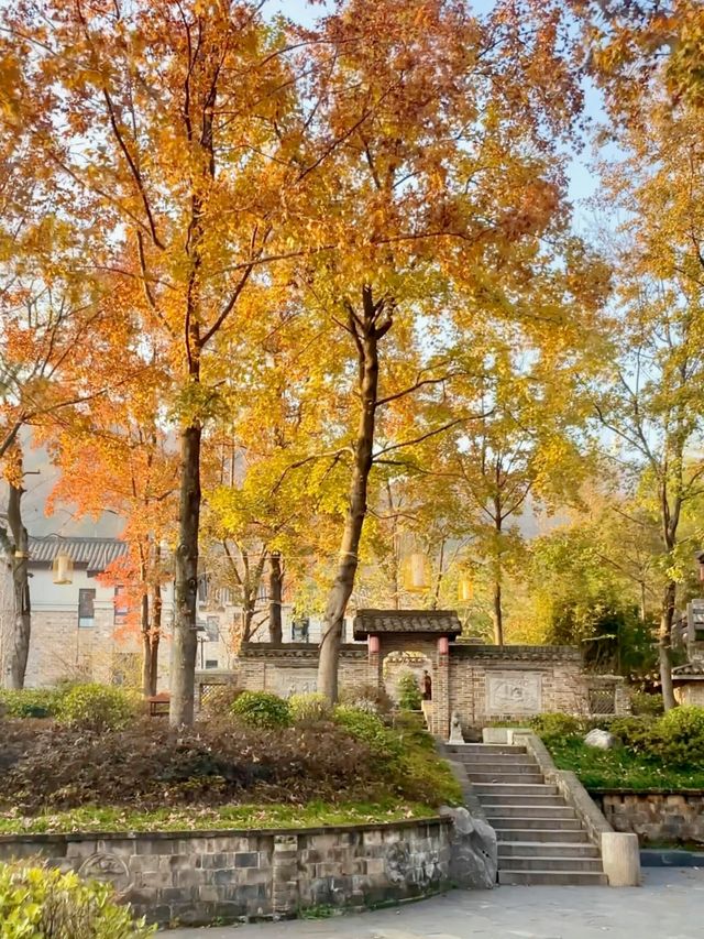 我願稱它為江浙滬打工人觸手可及的「週末療癒所」。 我願稱它為江浙滬打工人觸手可及的「週末療癒所」。