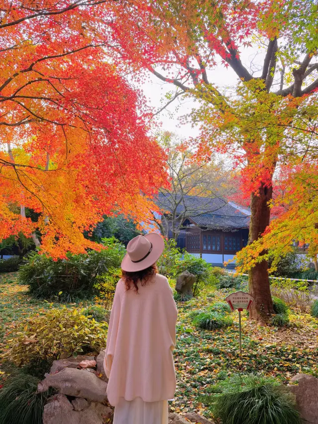 杭州小眾古寺，人少紅葉美