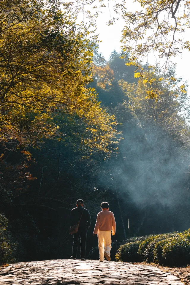 26.11.25 杭州 九溪煙樹 26.11.25 杭州 九溪煙樹