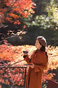 11月28日實拍|莫干山的紅楓|原圖直出