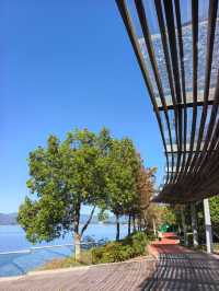 千島湖不登島不進景區直接酒店躺平…