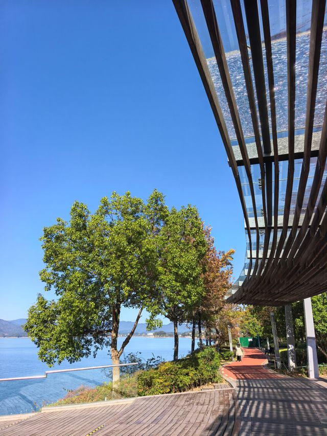 千島湖不登島不進景區直接酒店躺平…