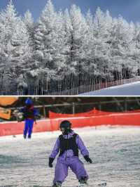 Ski Thrills & Savings: Our Epic Chongli Adventure ⛷️❄️