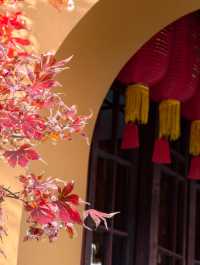 魔都初冬限定龍華寺銀杏太絕了!