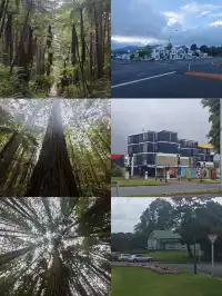 奧克蘭citywalk及周邊景點從夯到拉