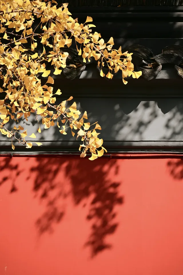 重慶出發 去南京過秋天