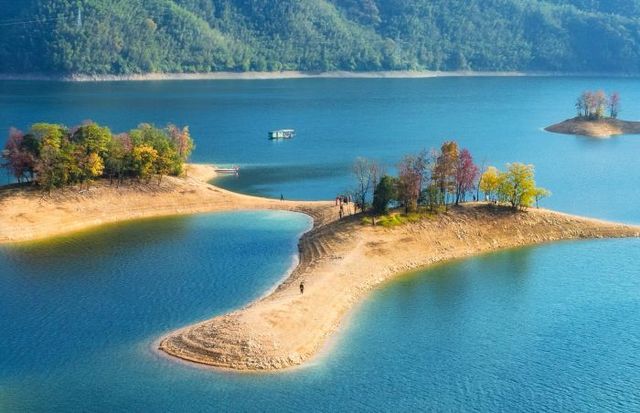 太平湖冬日浪漫,紅杉火海暖遊心 太平湖冬日浪漫,紅杉火海暖遊心