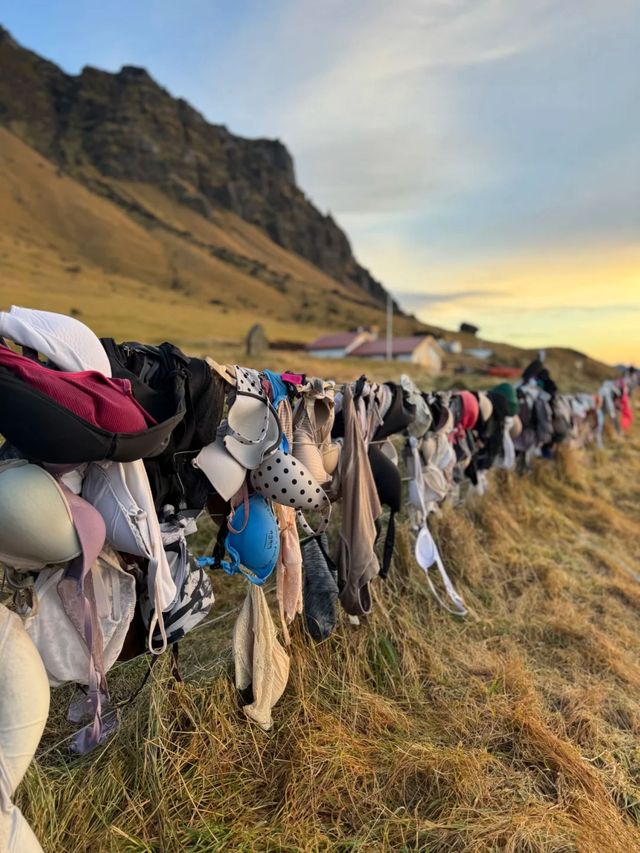 冰島8日遊冬天去真的超絕