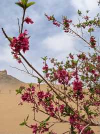 敦煌1日包車遊打卡必去景點