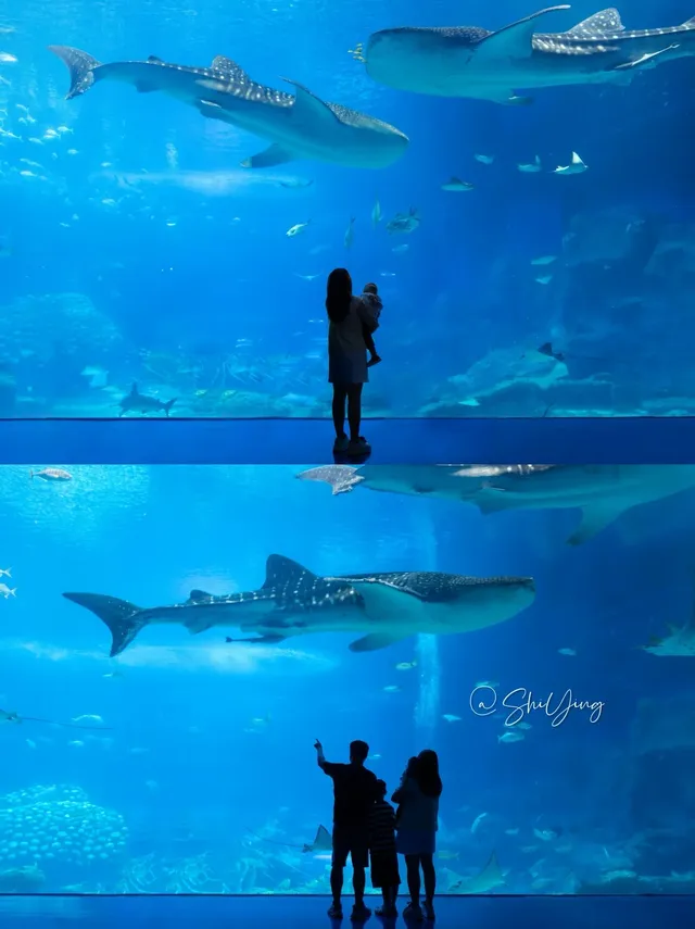 拍半小時!加修了幾百!原因太好看 拍半小時!加修了幾百!原因太好看