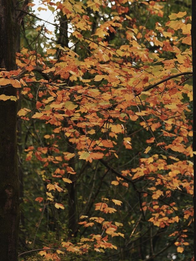 解鎖不撞款的暖冬浪漫 解鎖不撞款的暖冬浪漫