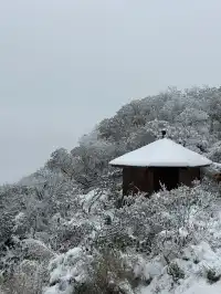 神農架冬日童話|闖入南國最純淨的雪國
