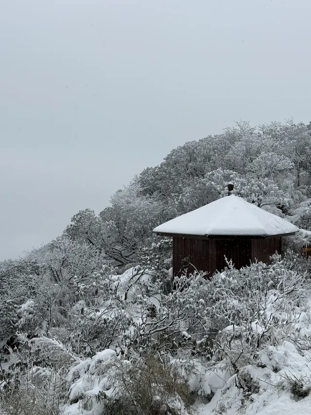 神農架冬日童話|闖入南國最純淨的雪國 神農架冬日童話|闖入南國最純淨的雪國