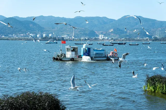 如果冬天只想去一個城市,那就是昆明 如果冬天只想去一個城市,那就是昆明